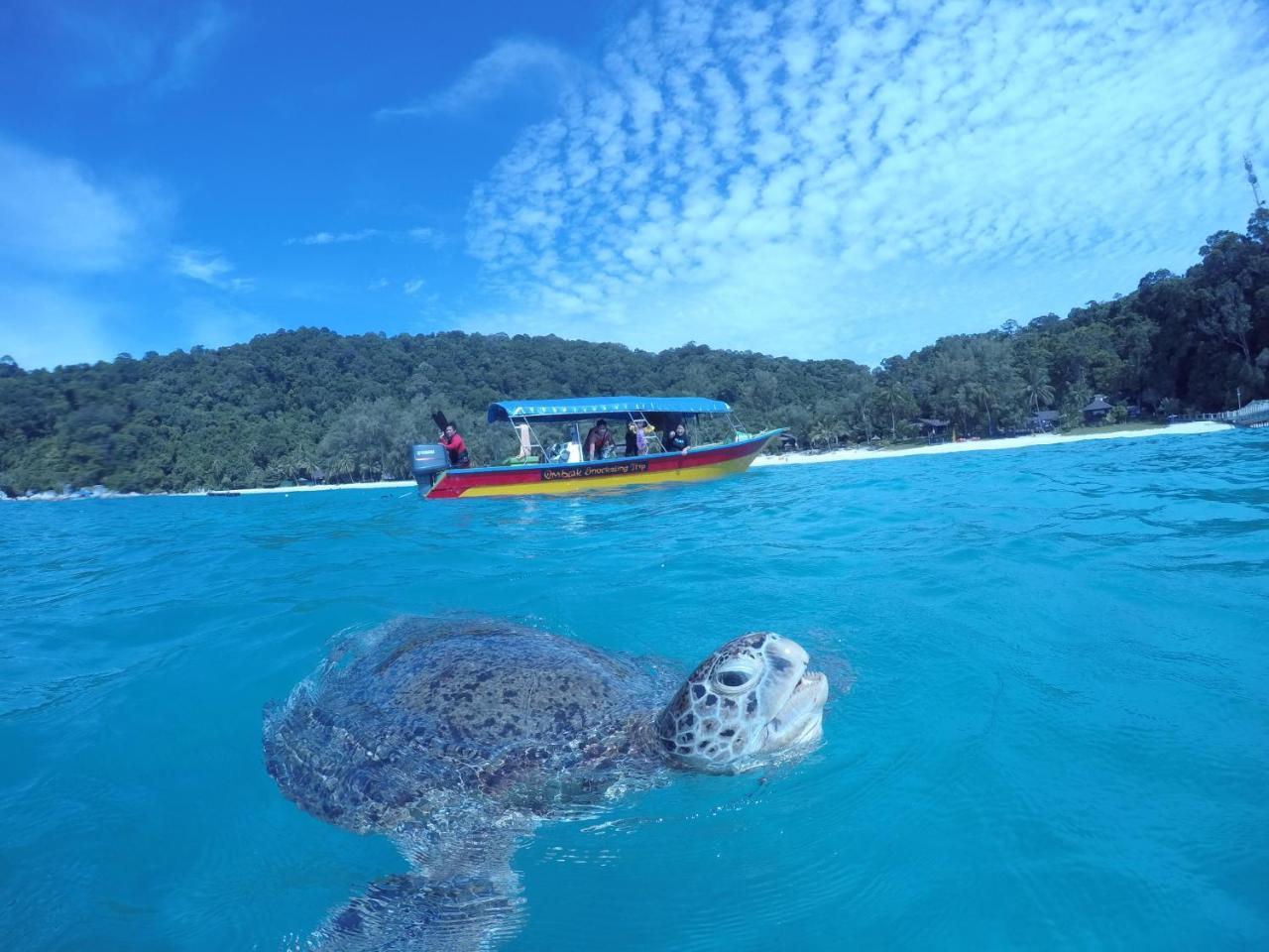 Ombak Dive Resort Perhentian Island Pulau Perhentian Kecil Extérieur photo